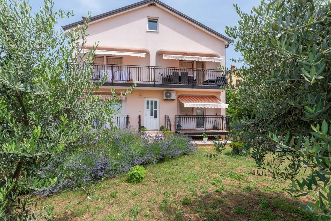 Apartment Masha Novigrad  Exterior photo